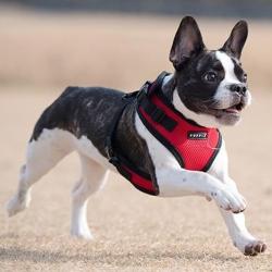Luftig og let hundesele – Soft Air-Mesh sikrer høj komfort og åndbarhed