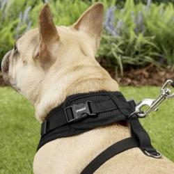 Hundesele Fra Puppia Justerbar til din hund
