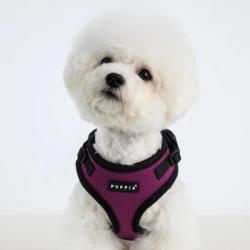 Puppia hundesele er god til alle racer