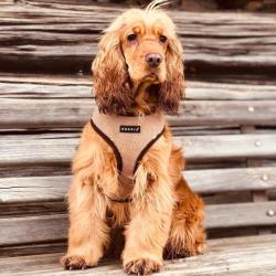 Let og åndbar hundesele – Perfekt til daglige gåture.