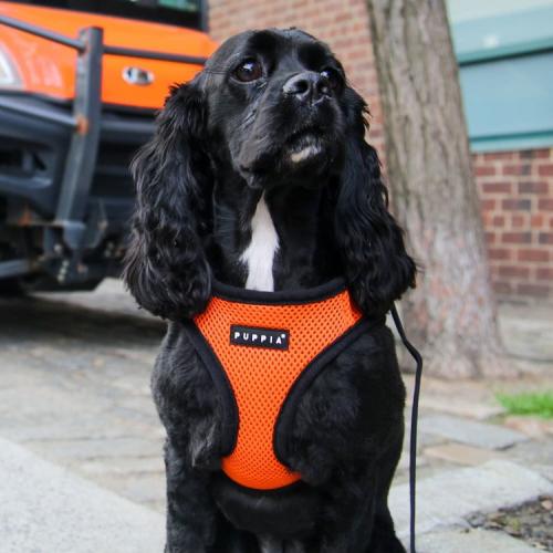 Puppia hundesele i 17 farver – Stilfuldt og funktionelt design