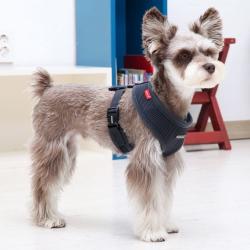 Fast hals hundesele – Nem at tage på uden besvær.