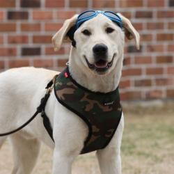 Puppia hundesele i 17 farver – Stilfuldt og funktionelt design