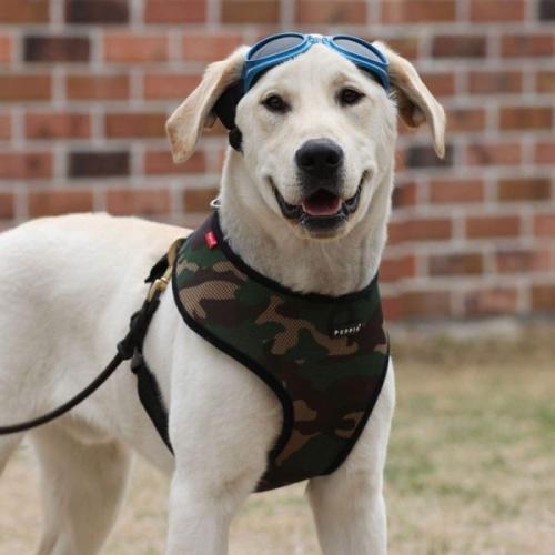 Puppia hundesele i 17 farver – Stilfuldt og funktionelt design