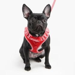Puppia Vivien hundesele med sløjfe – Stilfuldt og funktionelt design