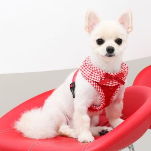 Blød hundesele med ergonomisk pasform – Giver maksimal komfort