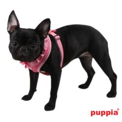 Puppia hundesele med fast hals og justerbar gjord – Komfortabel og skånsom for nakken.