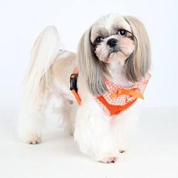 Hundesele med justerbar mavegjord – Sikrer en perfekt pasform