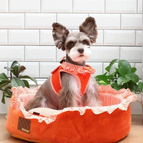 Puppia Step-in hundesele er blød, åndbar og let at tage på. 