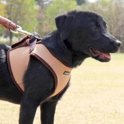 Hundesele i blød mesh – Skånsom og behagelig pasform