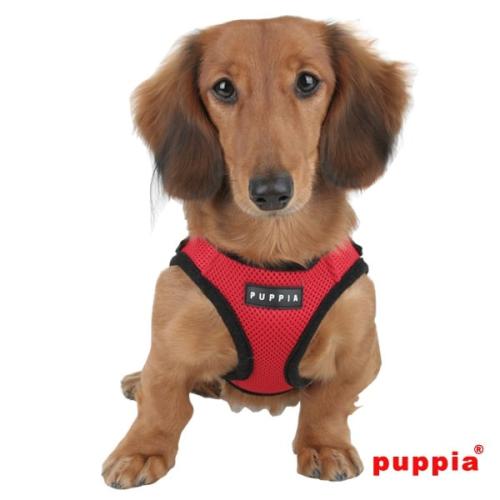 Puppia hundesele med sikker lukning på ryggen
