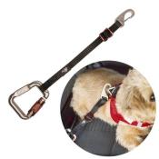Curli sikkerhedsbælte – Sikker og tryg transport for små hunde