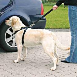 Beskyt din hund i bilen med en komfortabel sikkerhedssele