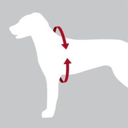 Fleksibel hundesele med sikkerhedssele til biltransport