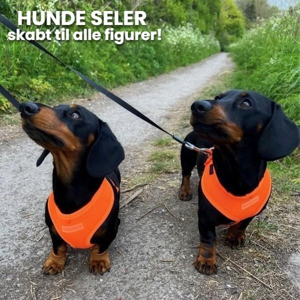 Hundeseler