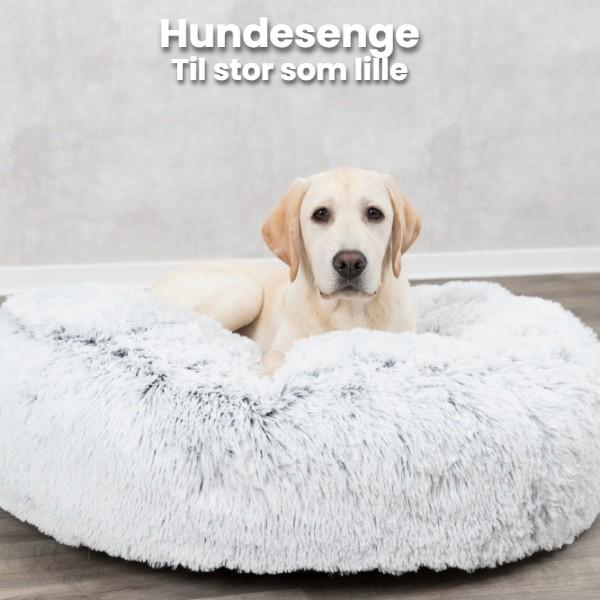 Hundesenge