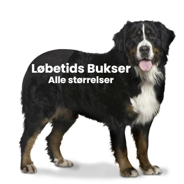 Løbetidsbukser