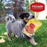 Ficcaro og Woolf 