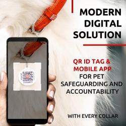 Smart ID-tag – Hjælper dig med at finde din hund, hvis den bliver væk