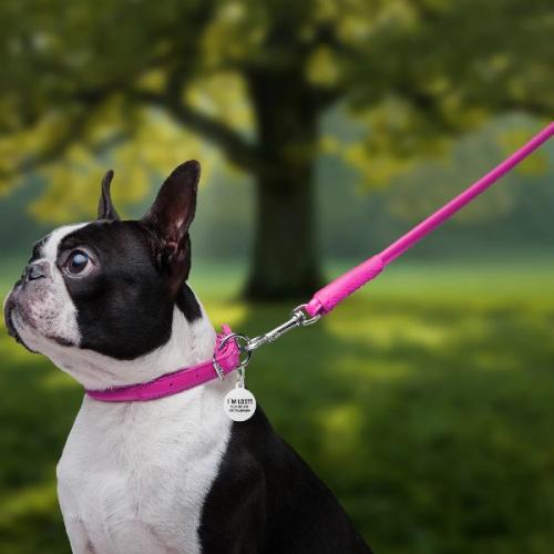 Perfekt pasform – Justerbart og behageligt for din hund
