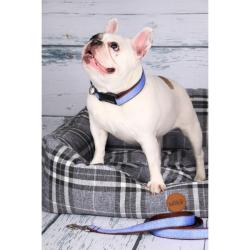 Justerbart hundehalsbånd i jeansdesign med stærk kliklås