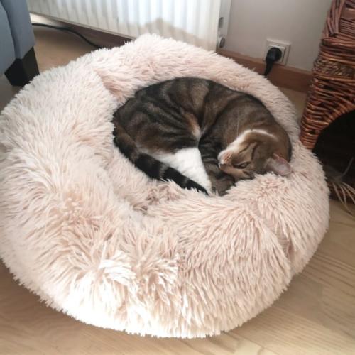 Donut Seng til Katte – Blød, Fluffy & Antistress