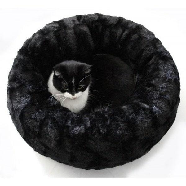 Perfekt til killinger og voksne katte