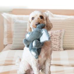 KONG Comfort Kiddos Elephant – sødt og sjovt legetøj til din hund
