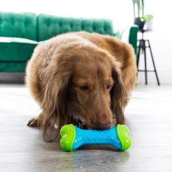 KONG Corestrength Bone – Small/Medium & Medium/Large – Slidstærkt legetøj