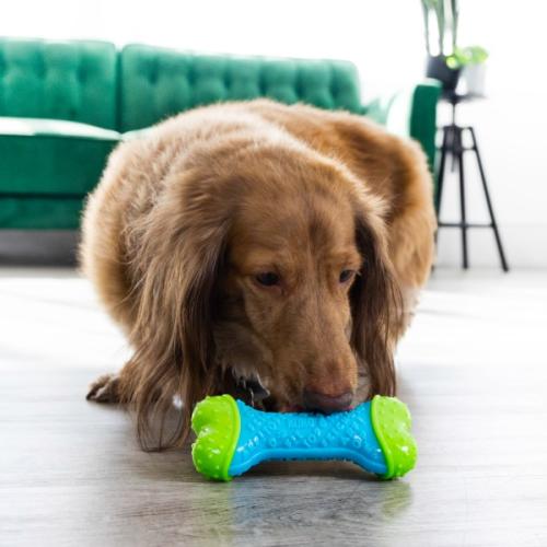 KONG Corestrength Bone – Small/Medium & Medium/Large – Slidstærkt legetøj