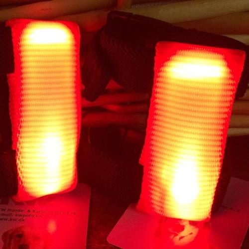 Lysvedhæng – Bliv set i mørket | Tildinhund.dk