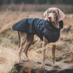 Hund iført justerbart dækken med refleks