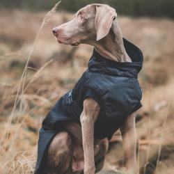 Dogman hundedækken – perfekt til vinterens gåture