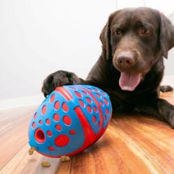 KONG Rewards Wally slow feeder til hunde