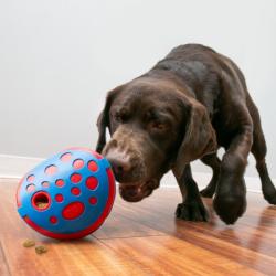 KONG Rewards Wally – nem at fylde og rengøre