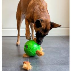 Hund skubber Dog Snuffle N' Treat Ball for at få belønning.