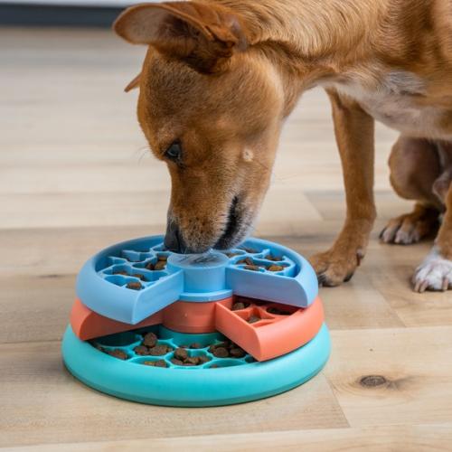 Hvalp leger med Puppy Lickin' Layers Slow Feeder.