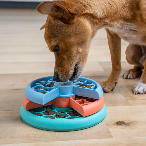Hvalp leger med Puppy Lickin' Layers Slow Feeder.