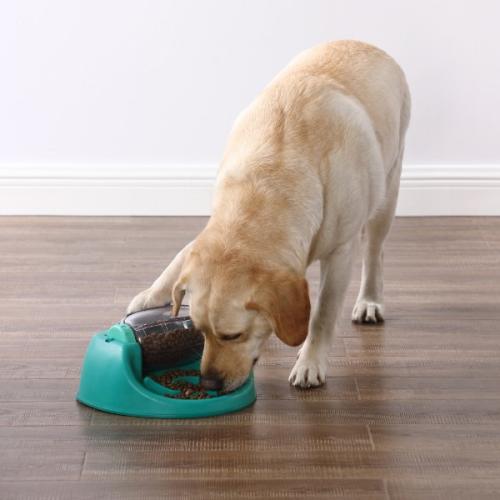 Hund løser puslespil for at få mad med Dog Spin N’ Eat.