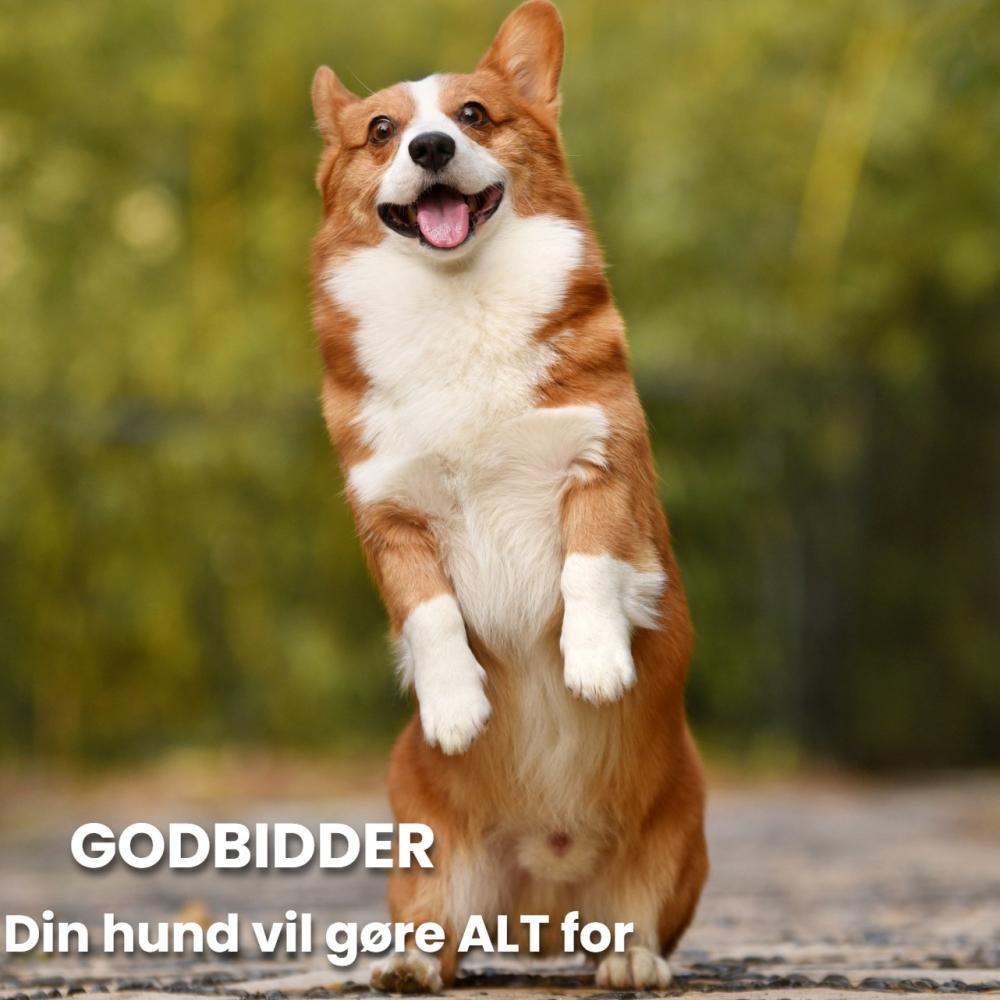 Lækre godbidder