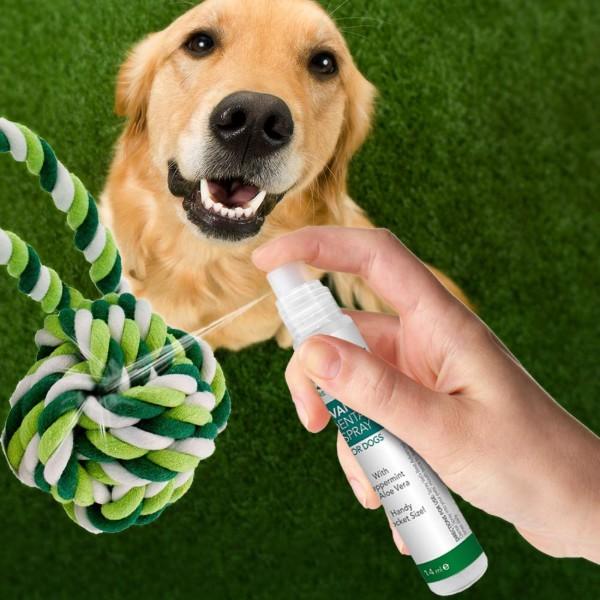 Kombinerer tandspray og flossbold for optimal mundhygiejne.