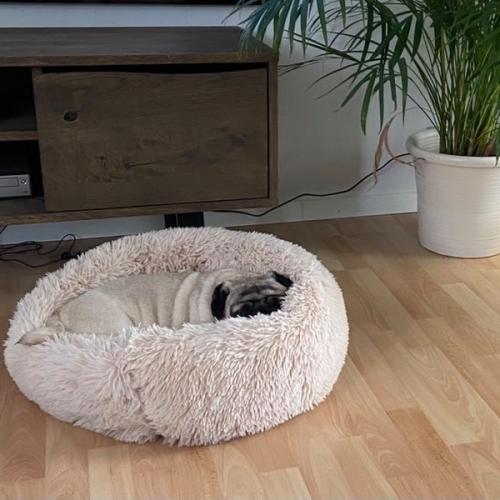 Blød og lækker Donut seng Beige