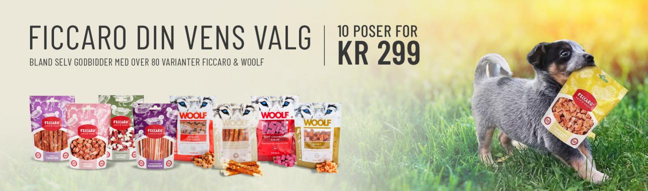 Godbidder 10 poser for kr 299