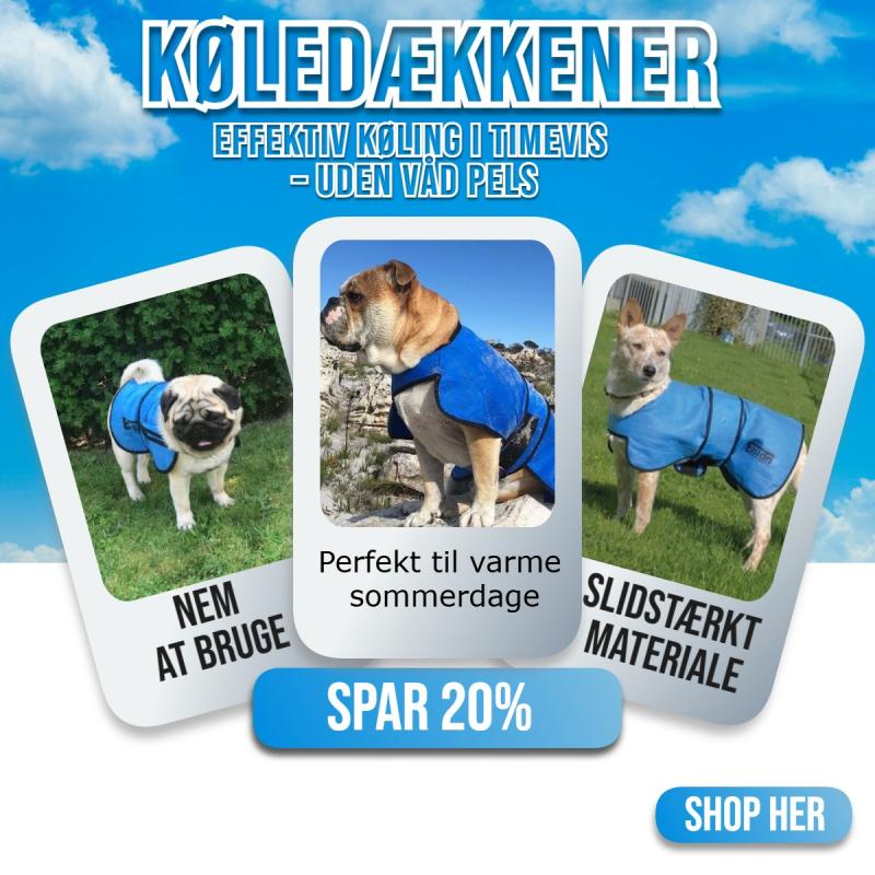 Køledækken til hund