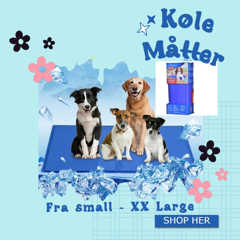 Kølemåtte til hund