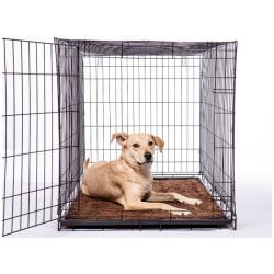 Dirty Dog Mat Brun