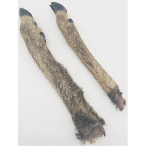 Naturlig hundegodbid: Rådyrben med hår fra Whesco