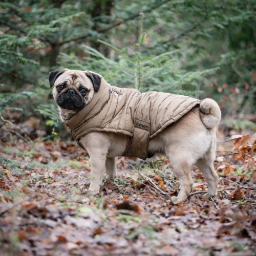 Hundedækken med Velcrolukning ved mave og elastik i nakke – nem at justere