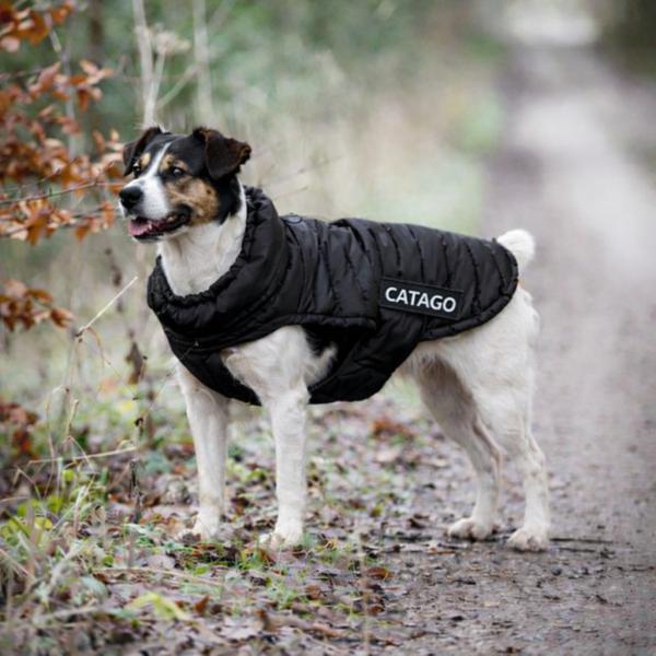 Varmt hundedækken til Dansk Svensk Gårdhund