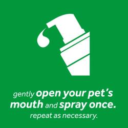 TropiClean Fresh Breath skum til tænder og tandkød